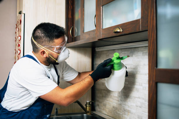 Best Insect Control  in Atlantic Beach, NC