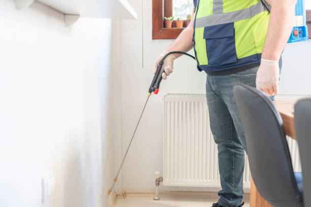 Best Flea Control Services  in Atlantic Beach, NC