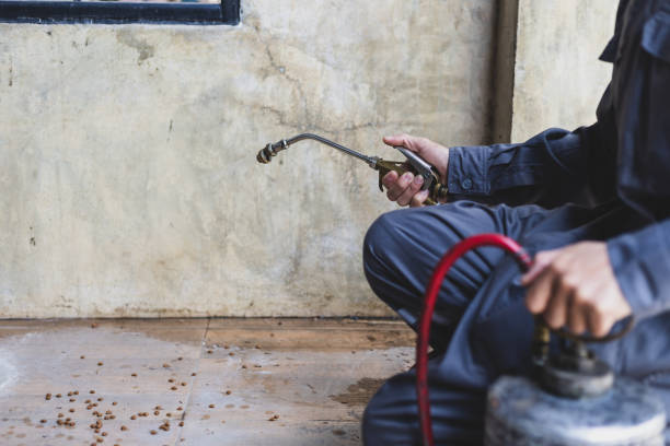 Best Best Pest Control Companies  in Atlantic Beach, NC